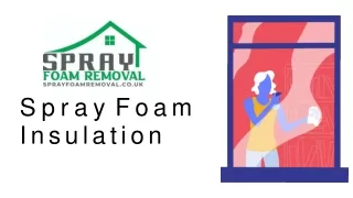Spray Foam Insulation