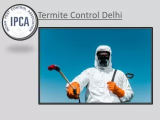 Termite Control Delhi