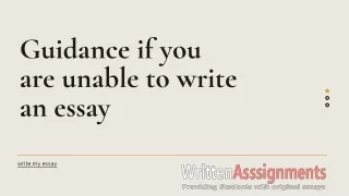 write my essay