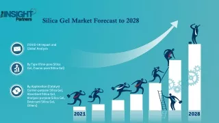 Silica Gel Market Trends & Opportunities and Forecast to 2028