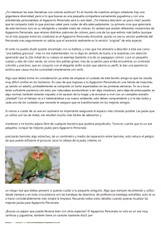 El mejor articulo sobre el agapornis personata - Articulo numero: 5307 - 5763