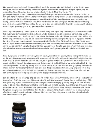 Mineralocorticoid Là Gì - Creatine Myprotein
