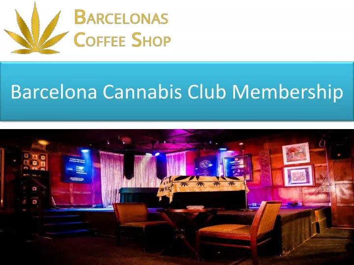 barcelona cannabis club membership