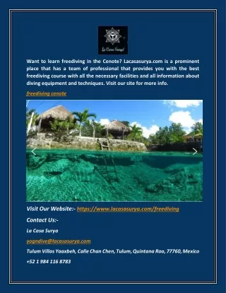 want to learn freediving in the cenote