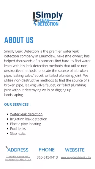 Simply Leak Detection