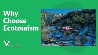Why Choose Ecotourism