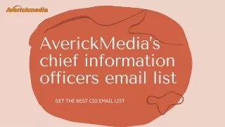AverickMedia’s chief information officers email list