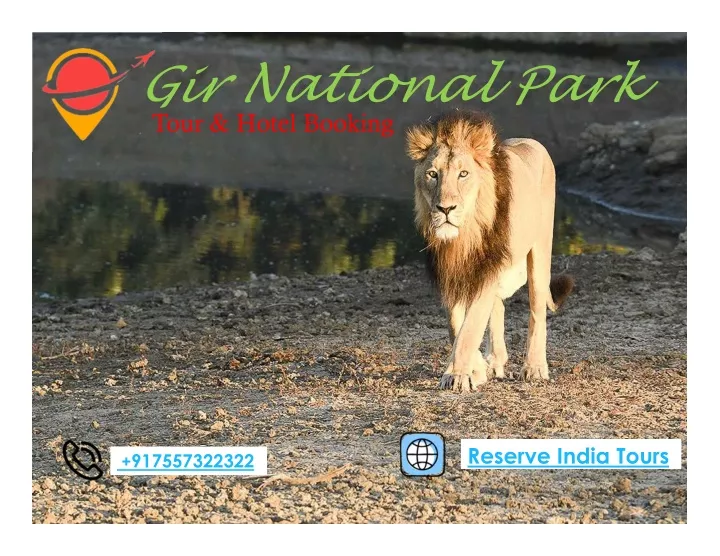 gir national park tour hotel booking