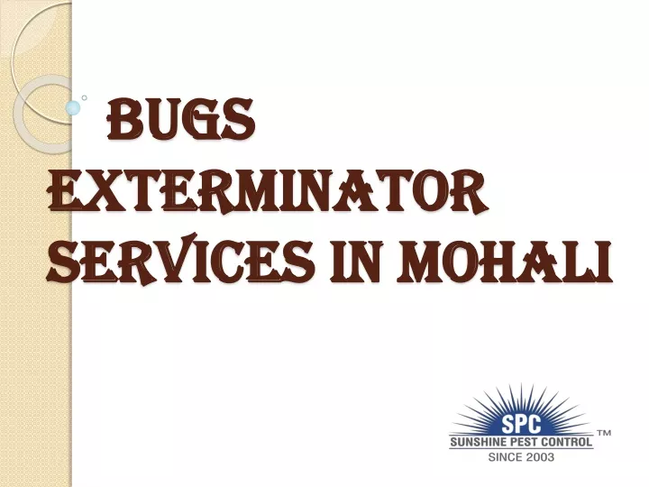 bugs exterminator services in mohali