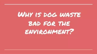 Why Is Dog Waste Bad For The Environment?