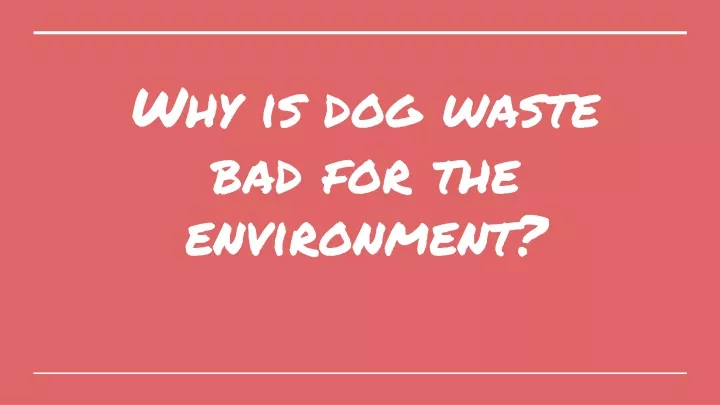 why is dog waste bad for the environment