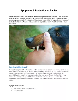 symptoms protection of rabies