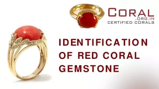 i d e n t i f i c a t i o n of red coral gemstone