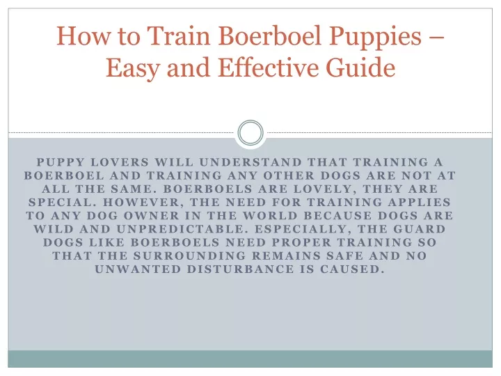 how to train boerboel puppies easy and effective guide