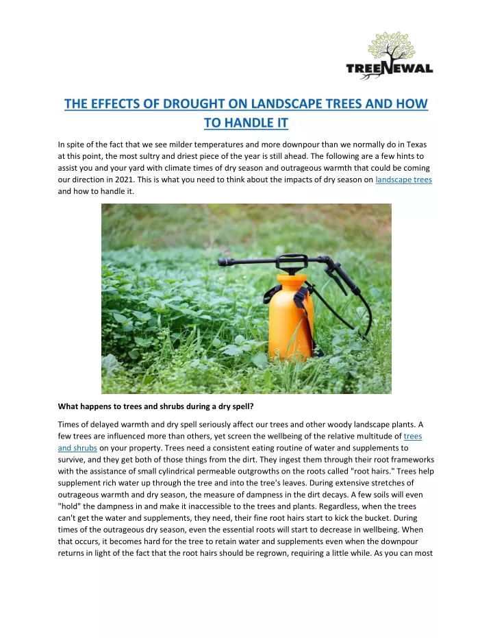 the effects of drought on landscape trees