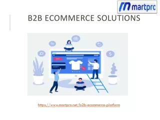 B2B Ecommerce Solutions