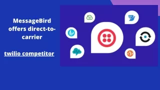 messagebird offers direct to carrier