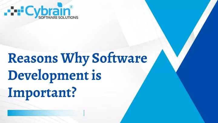 reasons why software development is important
