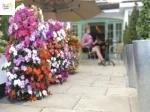 How To Set Up Plant A Hanging Flower Bag? - slide 1