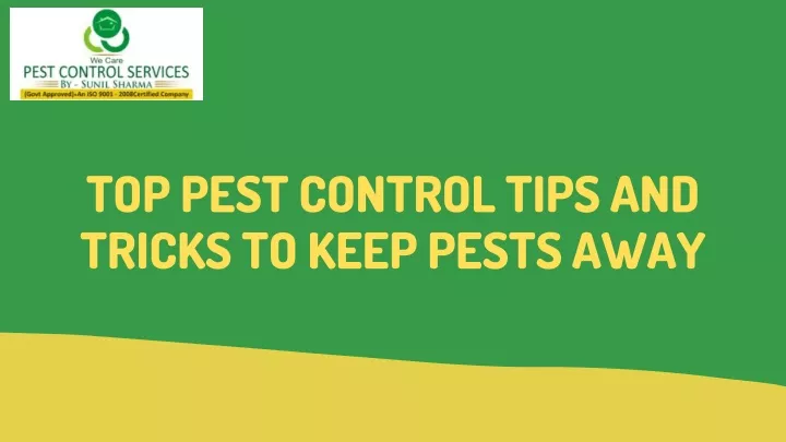 top pest control tips and tricks to keep pests