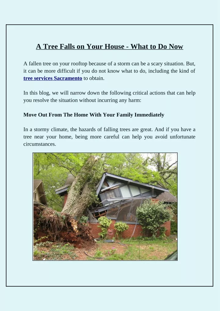 a tree falls on your house what to do now