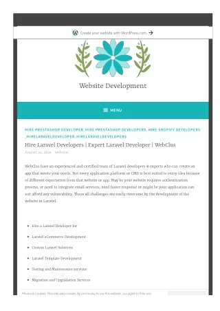 Hire Laravel Developers Expert Laravel Developer -  WebClus