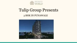 tulip group presents