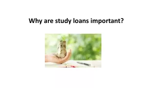 why are study loans important