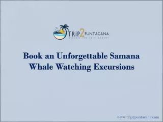 Book an Unforgettable Samana Whale Watching Excursions