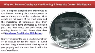 Why You Require Crawlspace Conditioning & Mosquito Control Middletown