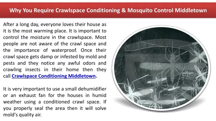 why you require crawlspace conditioning mosquito