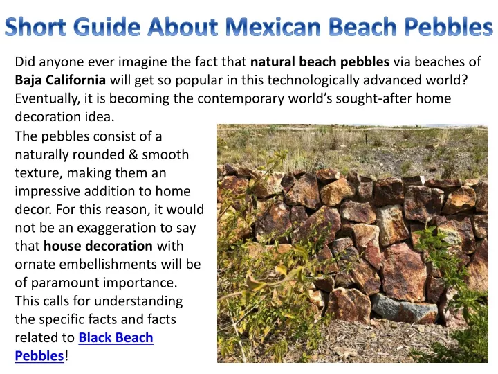 short guide about mexican beach pebbles