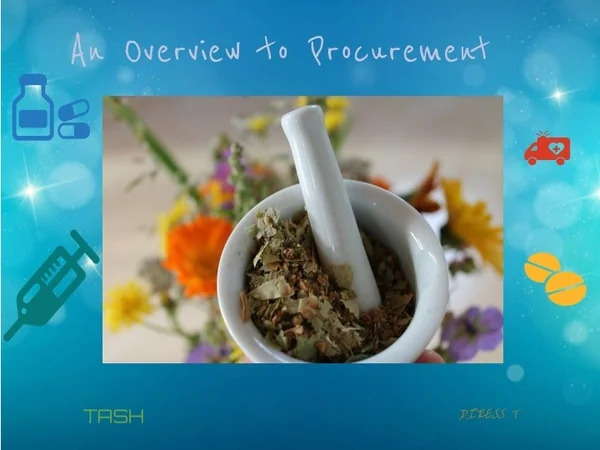 an overview to procurement