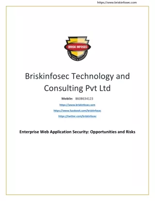 https www briskinfosec com