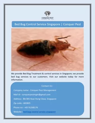 bed bug control service singapore conquer pest