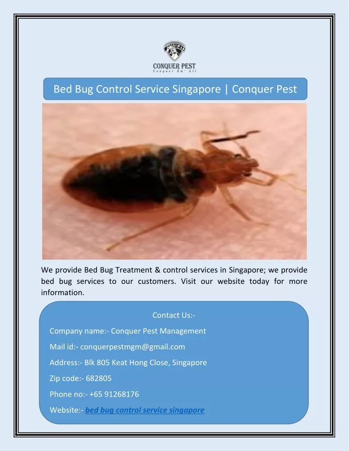 bed bug control service singapore conquer pest