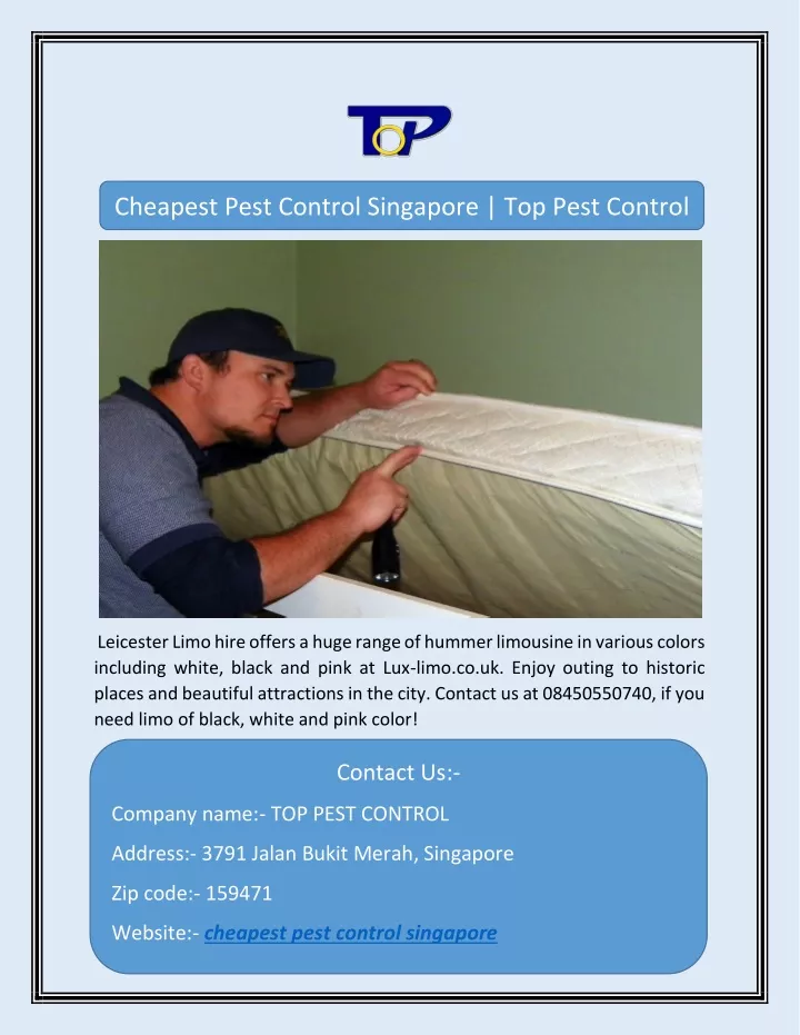 cheapest pest control singapore top pest control