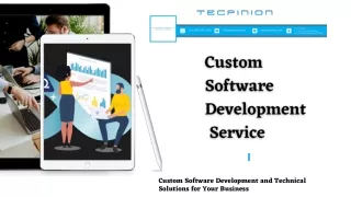Custom Software Development Service | Tecpinion