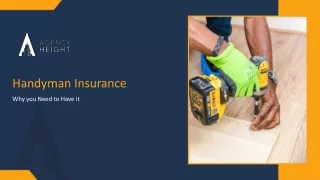 Insurance for Handyman