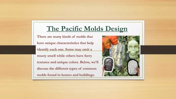 the pacific molds design