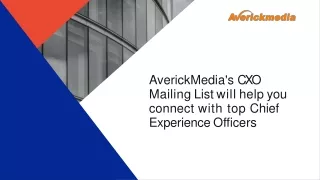 AverickMedia's CXO Email List