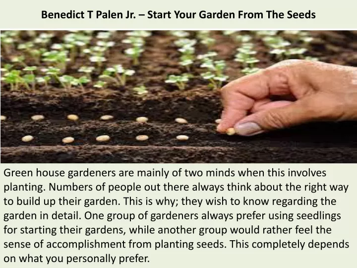 benedict t palen jr start your garden from the seeds