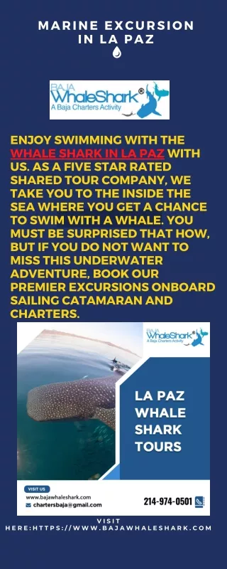 marine excursion in la paz