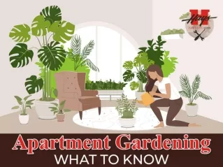 Apartment Gardening What to Know