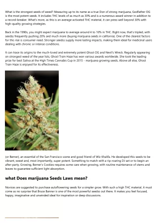 What Does Marijuana Autoflower Seeds Mean?