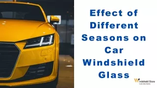 effect of different seasons on car windshield