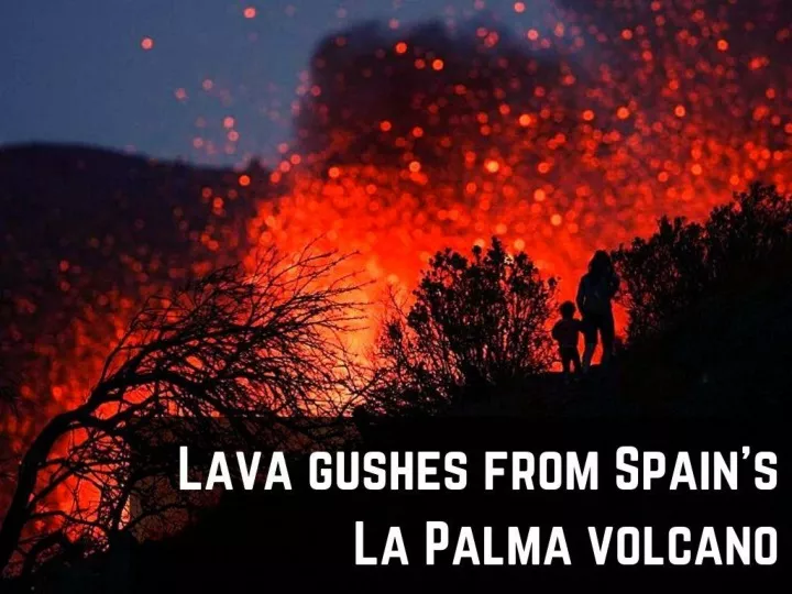lava gushes from spain s la palma volcano