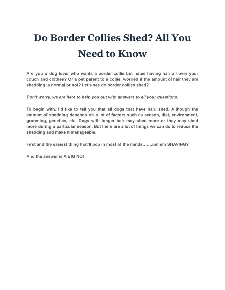 do border collies shed all you