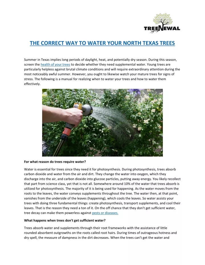 the correct way to water your north texas trees