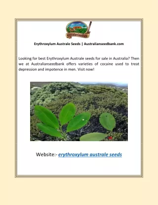 Erythroxylum Australe Seeds | Australianseedbank.com